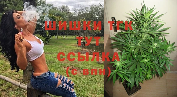 дживик Нягань
