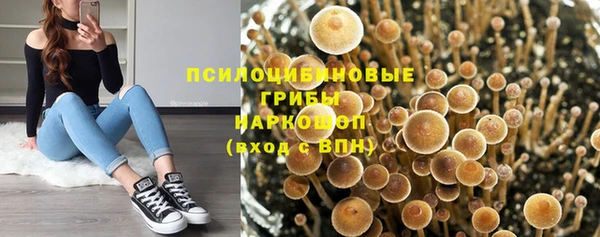 прущие грибы Нефтекумск
