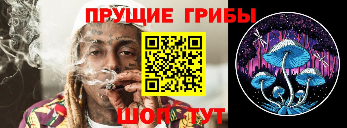 Псилоцибиновые грибы Psilocybe Кыштым