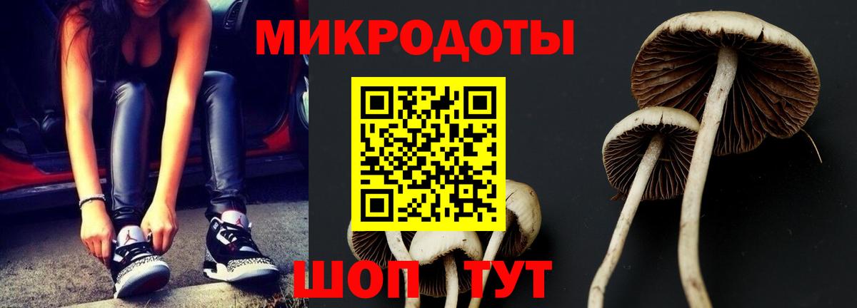 Галлюциногенные грибы Psilocybine cubensis  Вход с VPN  Кыштым 