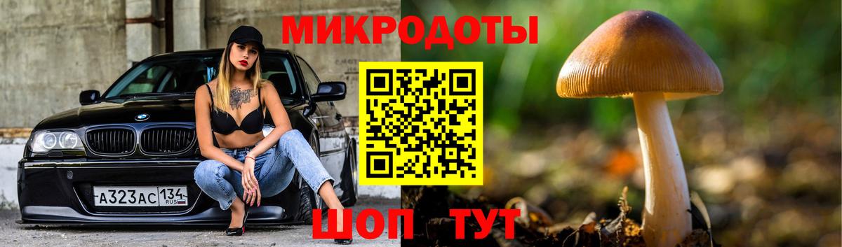 Галлюциногенные грибы мицелий  Кыштым  Галлюциногенные грибы Magic Shrooms 