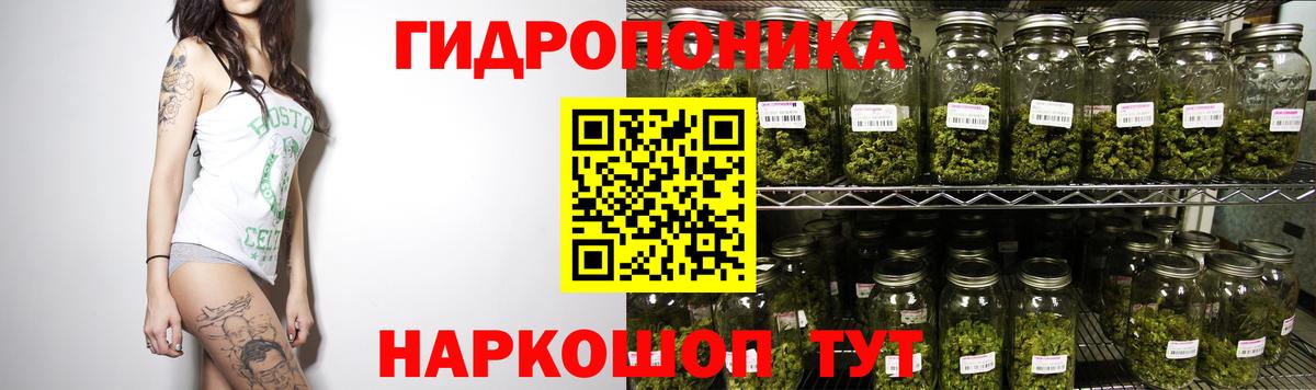 Канабис семена Кыштым